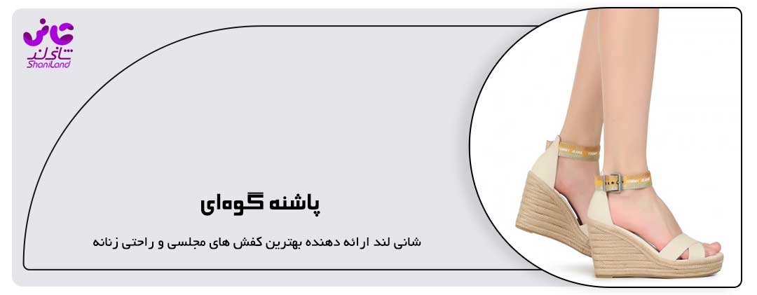 پاشنه گوه‌ای